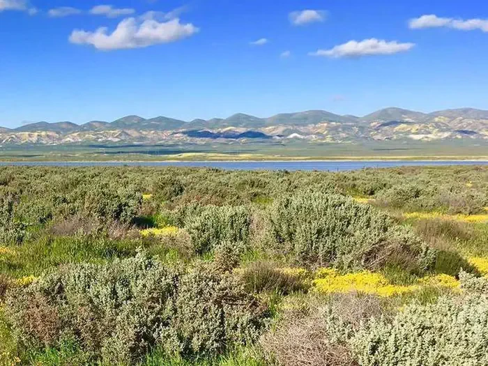 Carrizo Plain National Monument Tours