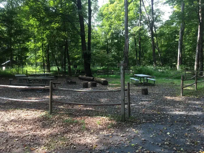 Site #1