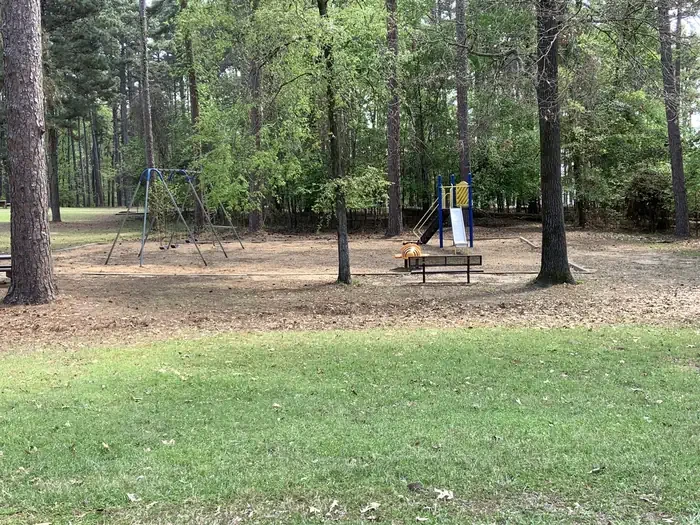Alley Creek Camp