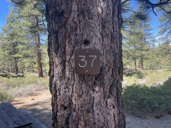 37