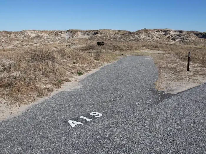 A019