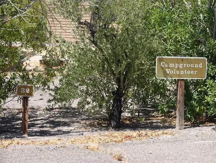 Site 32