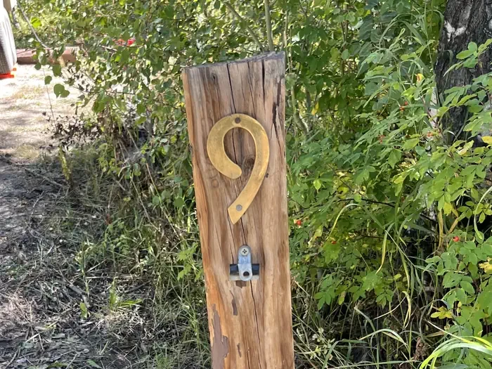 009
