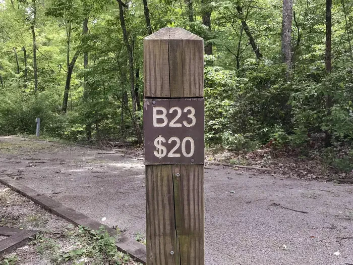 23