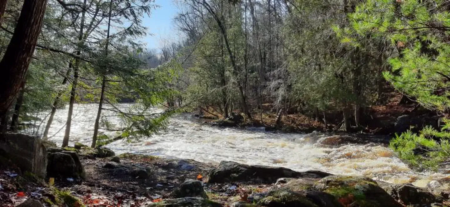 Bagley Rapids Campground