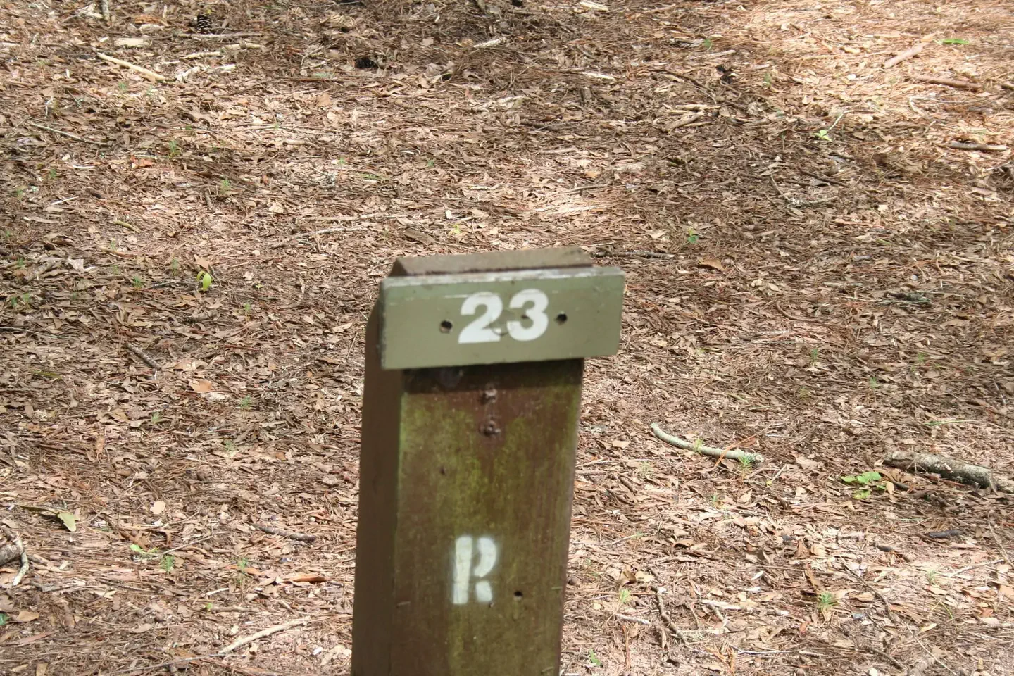 023