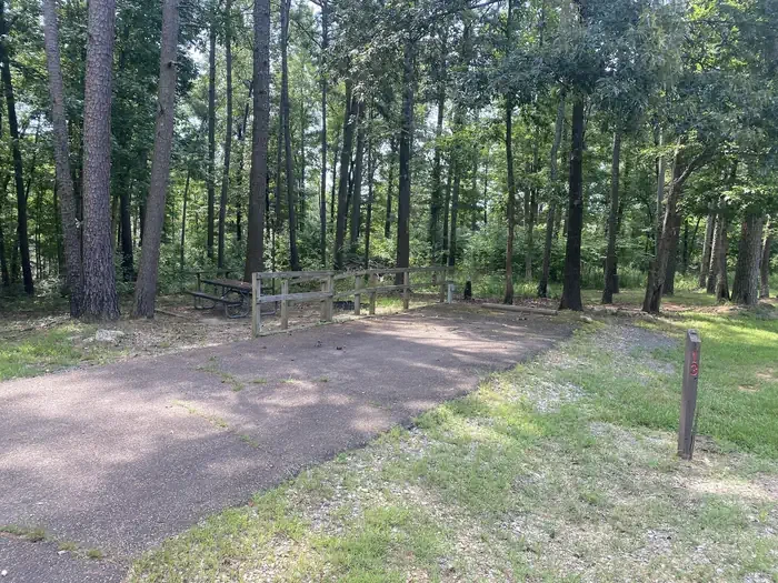 Site 13