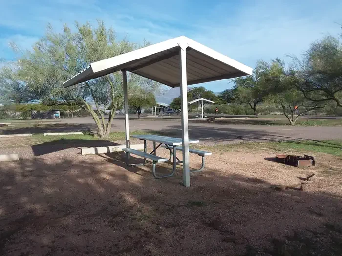 251