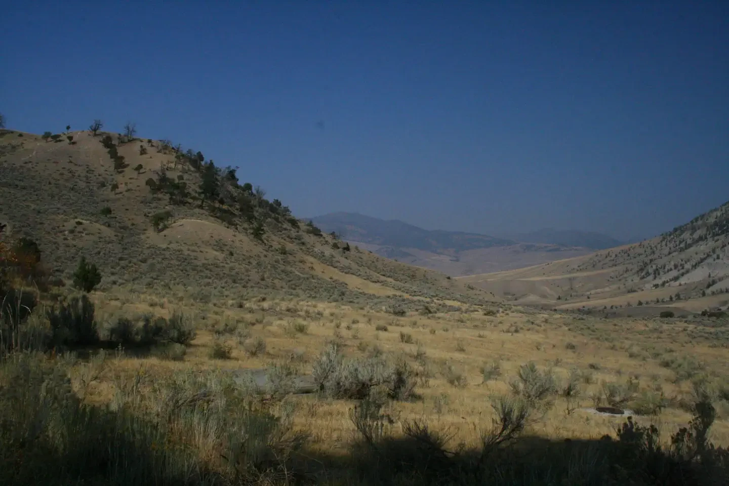 Mammoth site #37