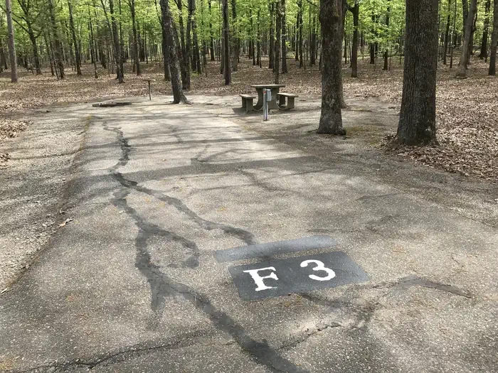 F03
