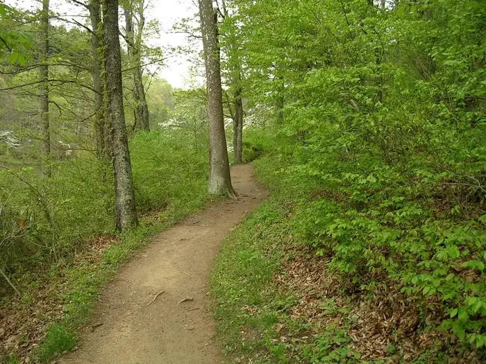Lake Vesuvius Recreation Area