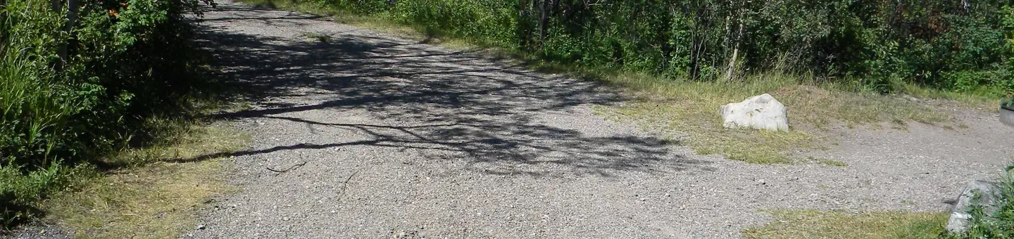 C131