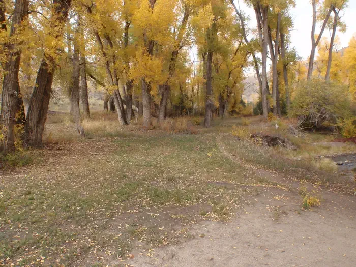 East Elk Creek Group Campsite