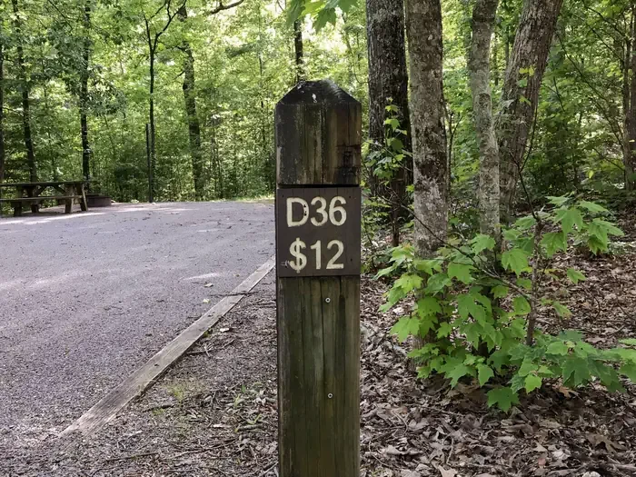 36