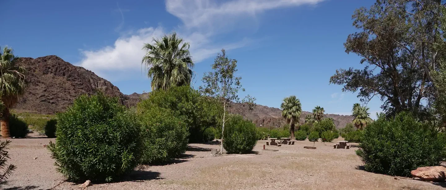 Group Site 1