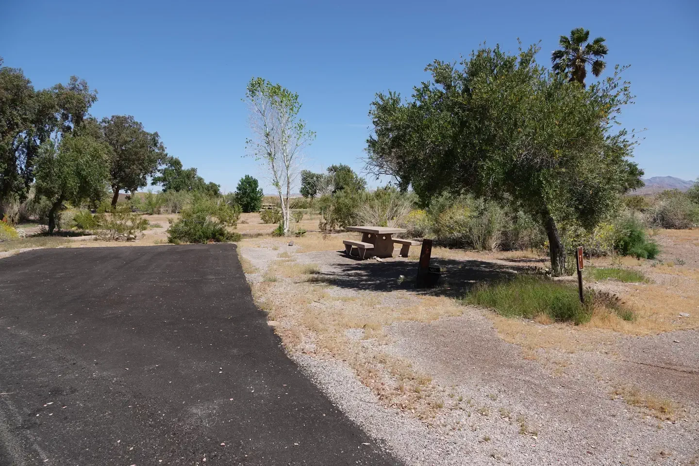 Site 6
