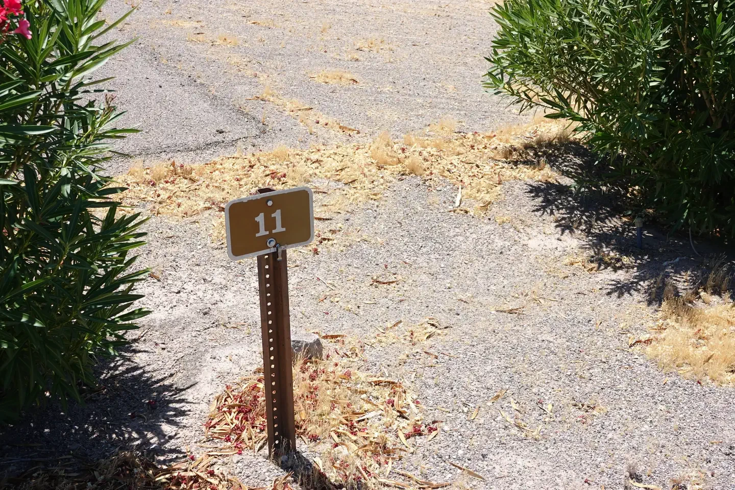 Site 11