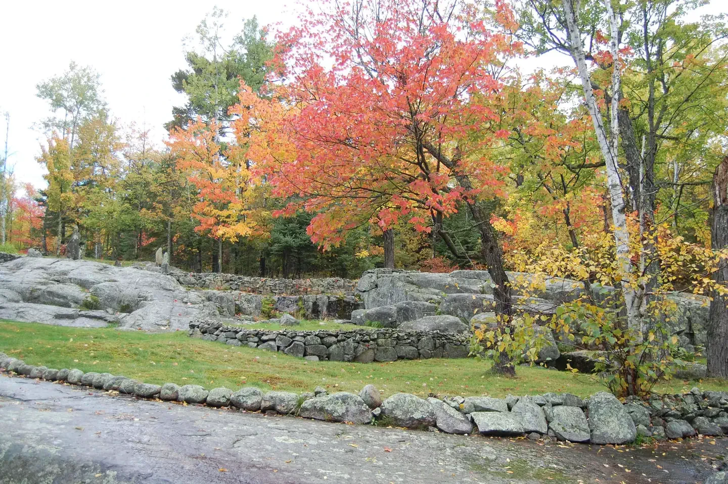 Ellsworth Rock Gardens Tour and Eagle Watch