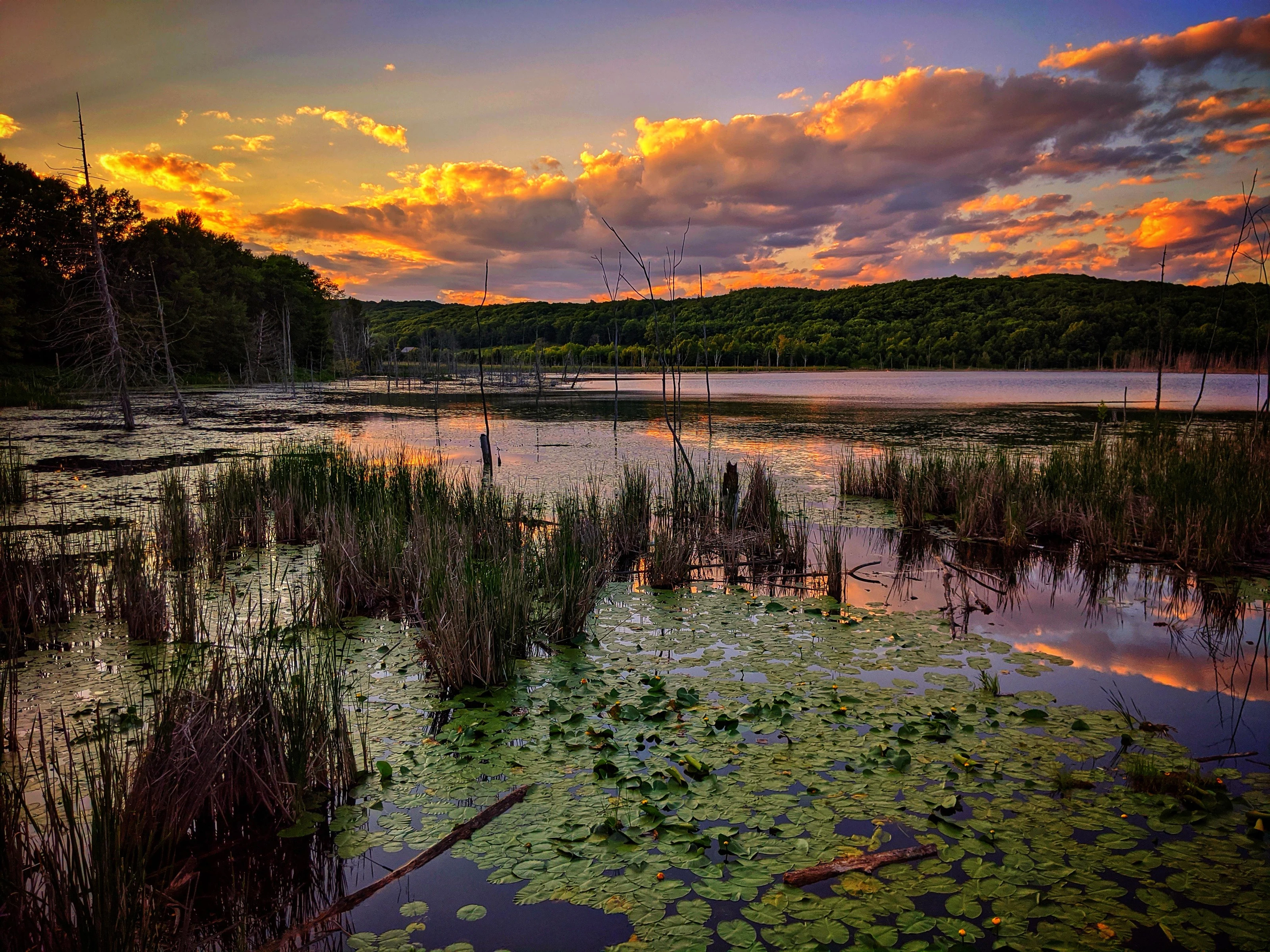 Sleeping Bear Dunes National Lakeshore