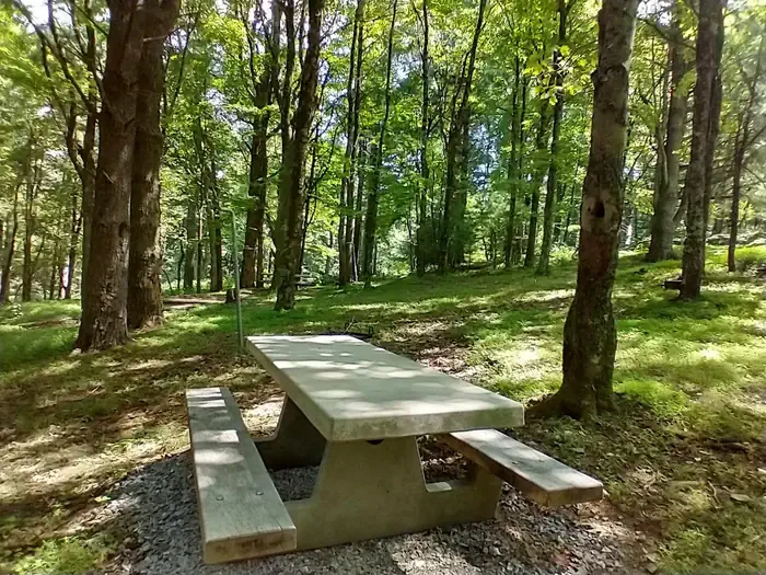 B27