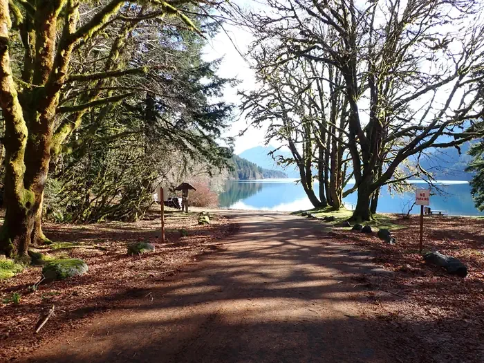 Fairholme Campground