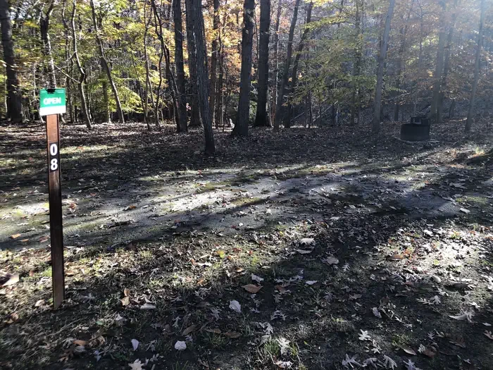 A08