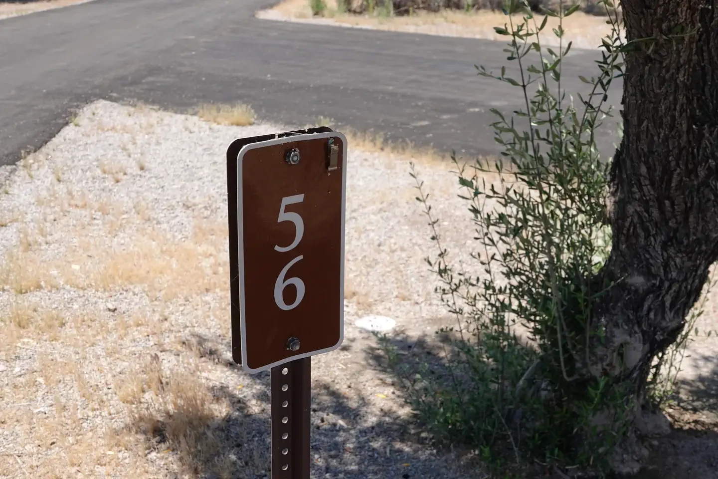 Site 56