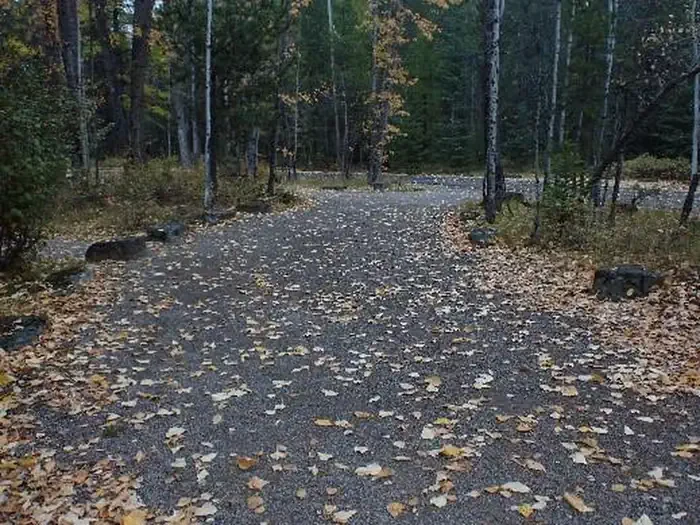 A32