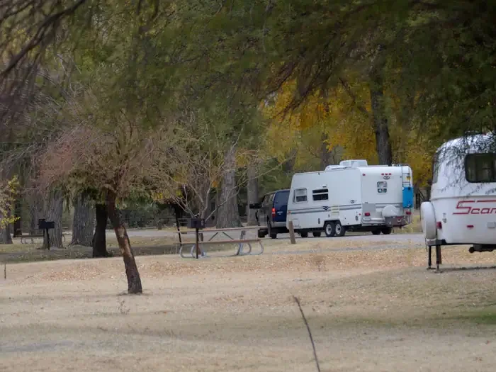 Cottonwood (Big Bend, TX)