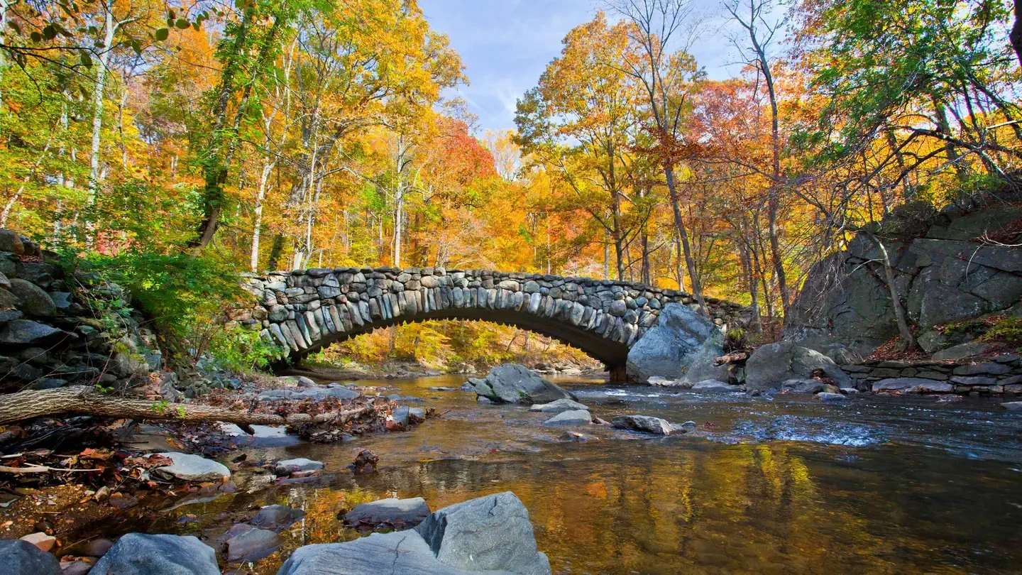Rock Creek Park Group Picnic Areas (DC)