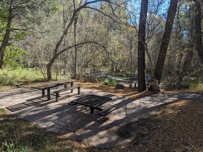 Cienega Picnic Site