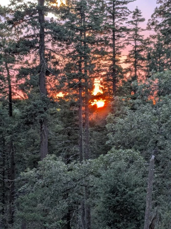 Apache (NM)