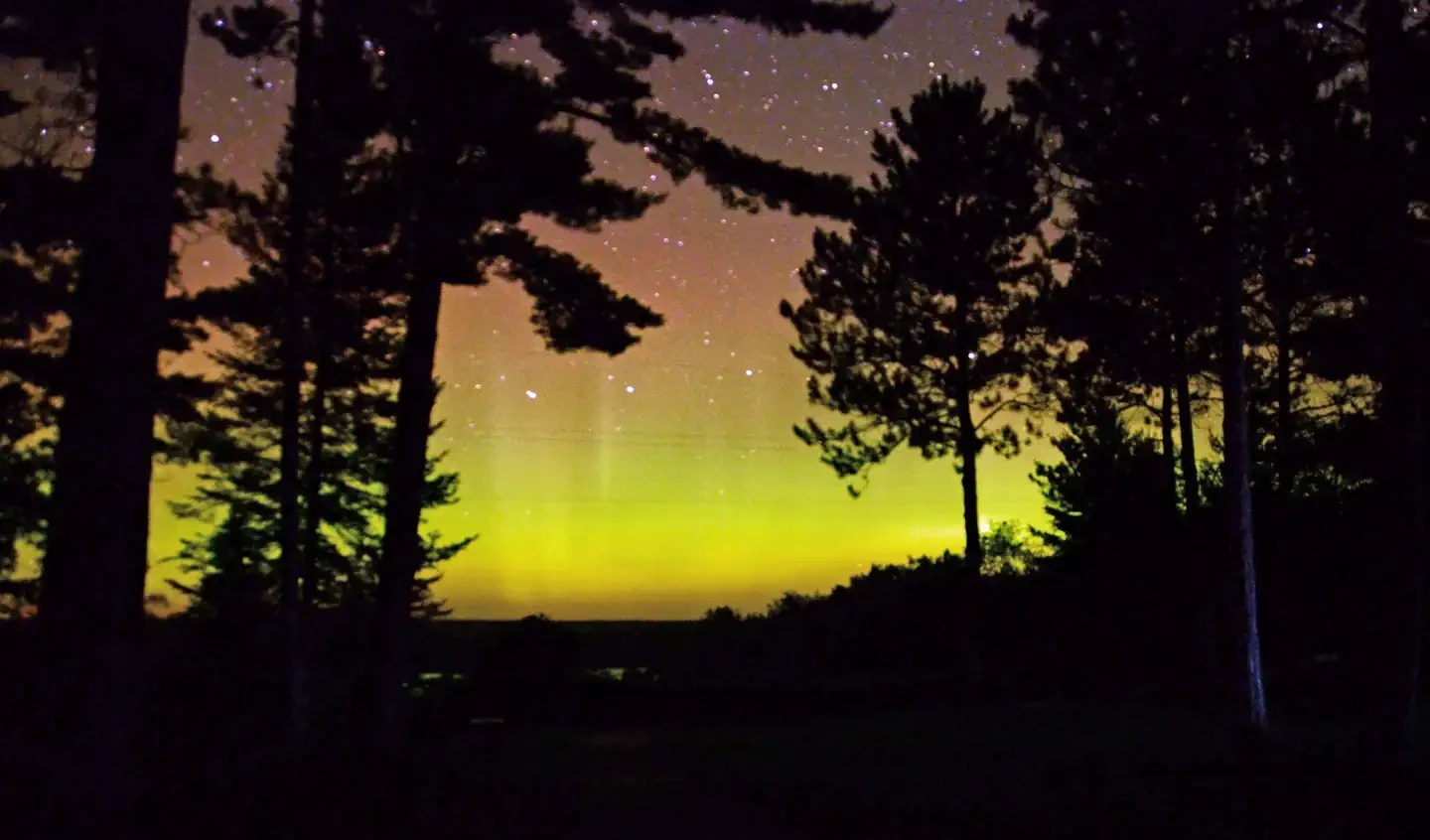 Huron-Manistee National Forests