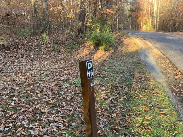 D-16