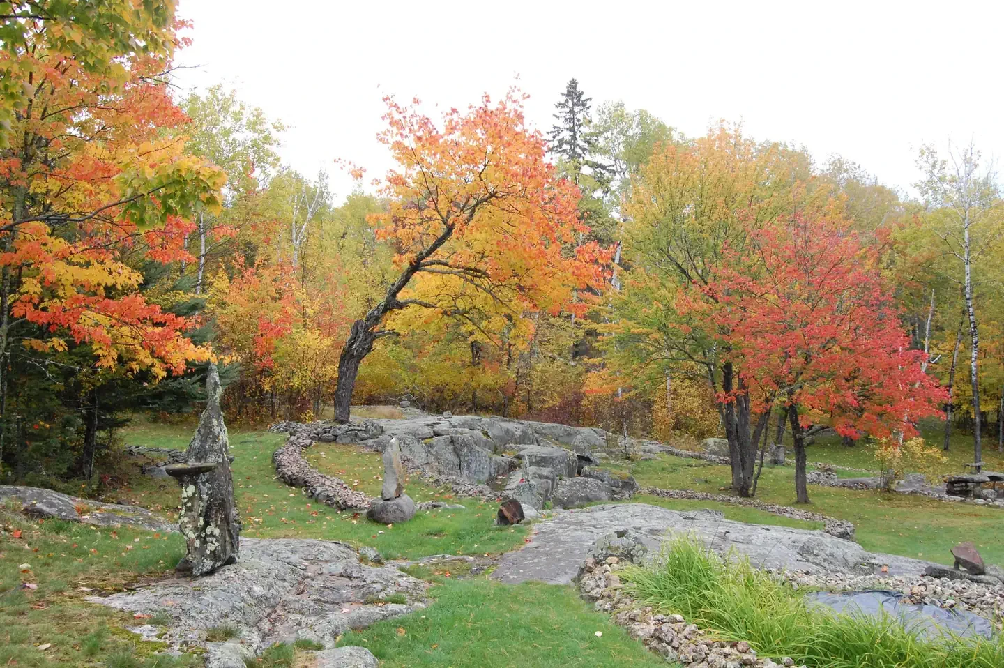 Ellsworth Rock Gardens Tour and Eagle Watch