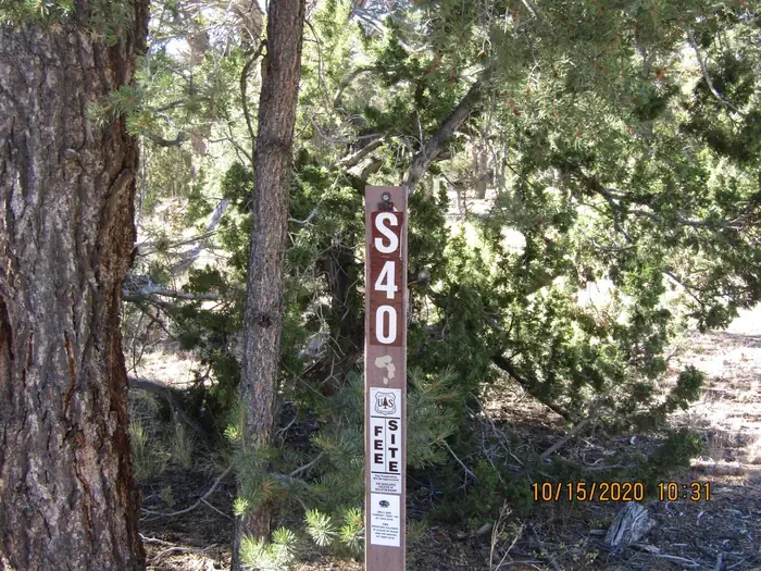 40