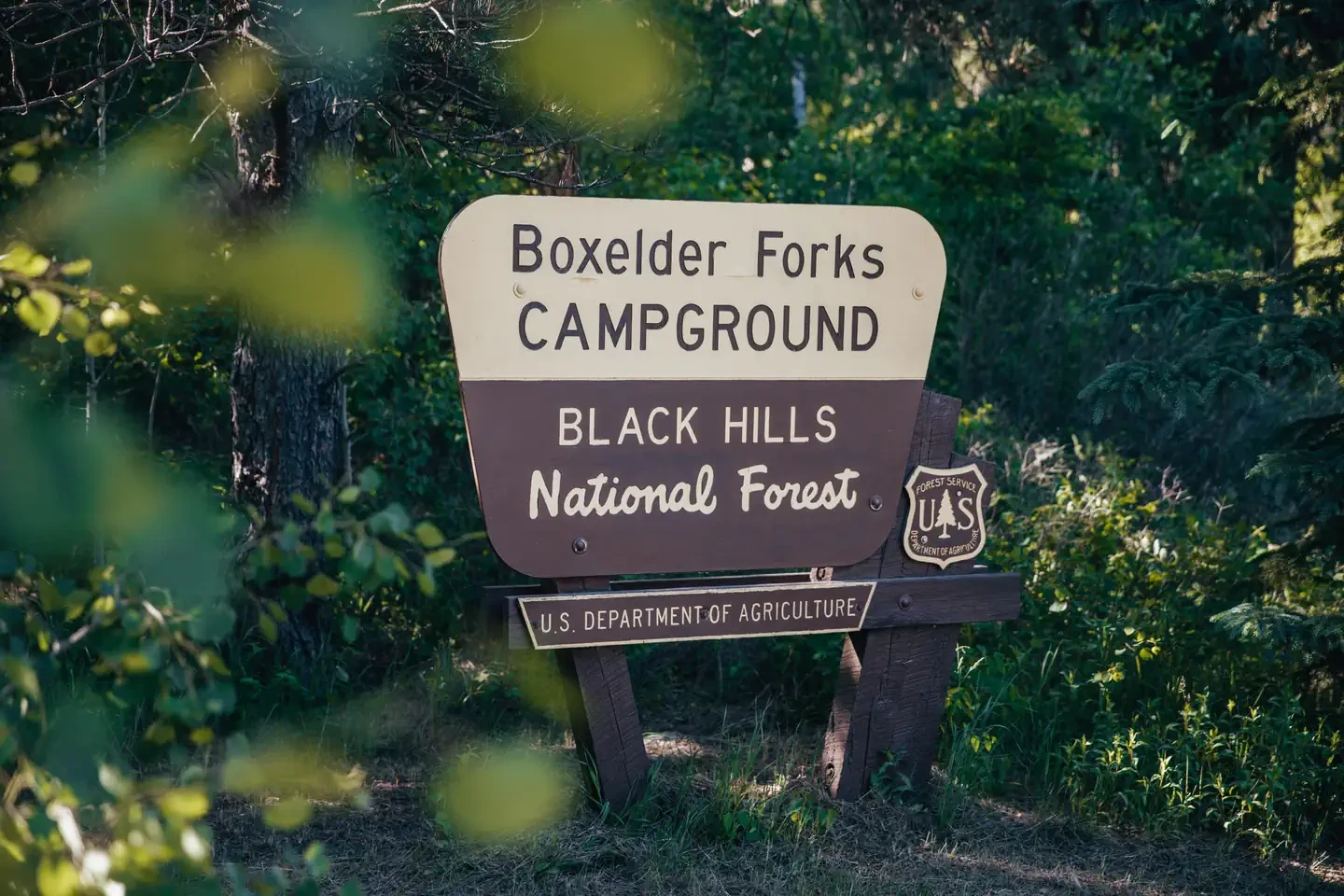 Boxelder Forks Campground