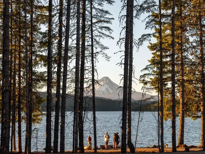 Stone Creek Campground (Timothy Lake, OR)