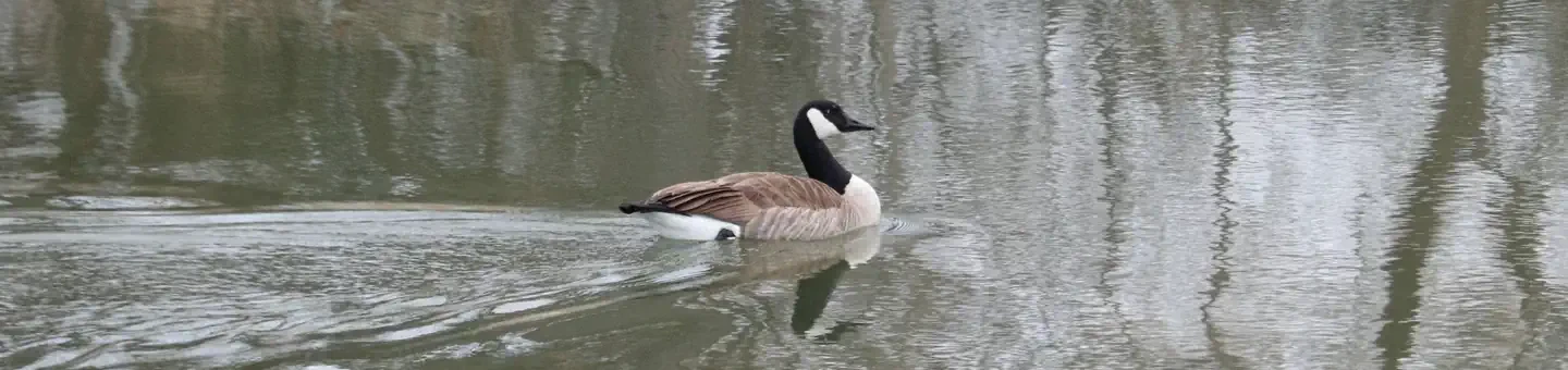 75