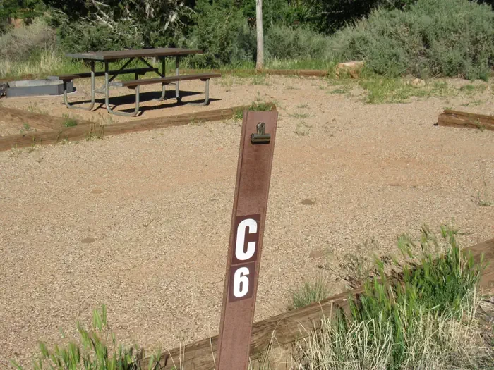 C006