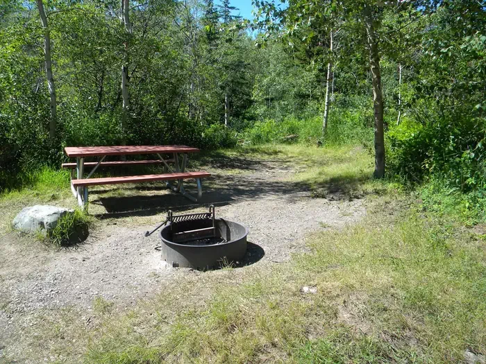 A35