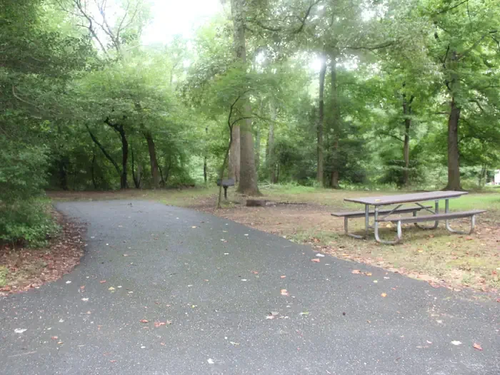 D133