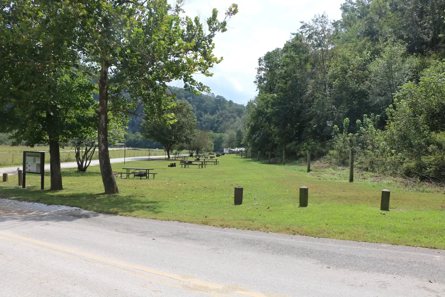 38 - Horse Site