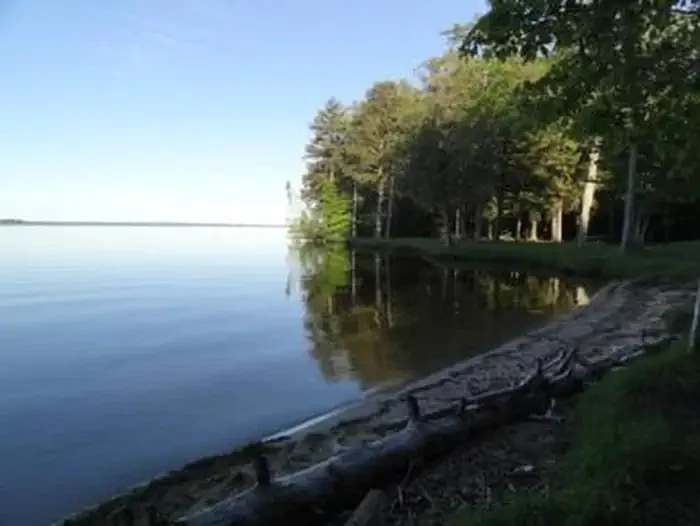 Brevoort Lake Campground