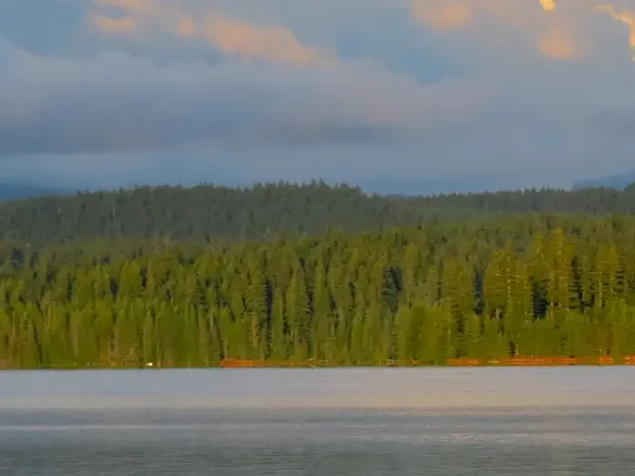 Oak Fork Campground (Timothy Lake, OR)