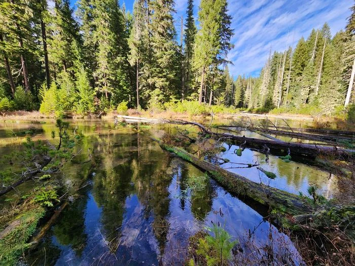 Clearwater Falls Campground