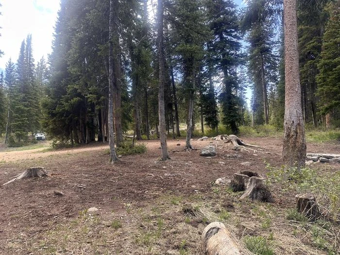 025