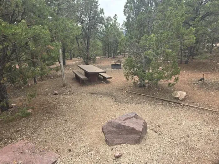 58