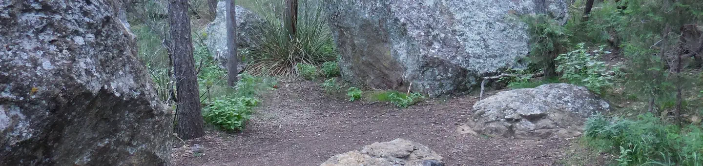 Pinnacles 1
