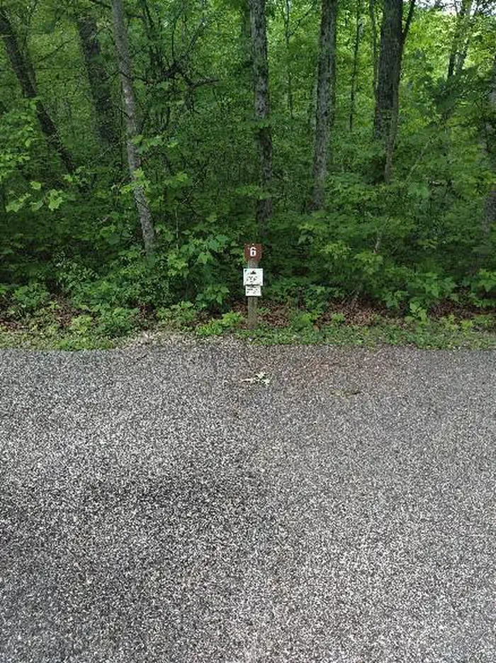 006